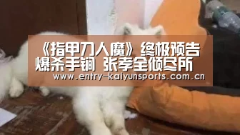 开云体育官网